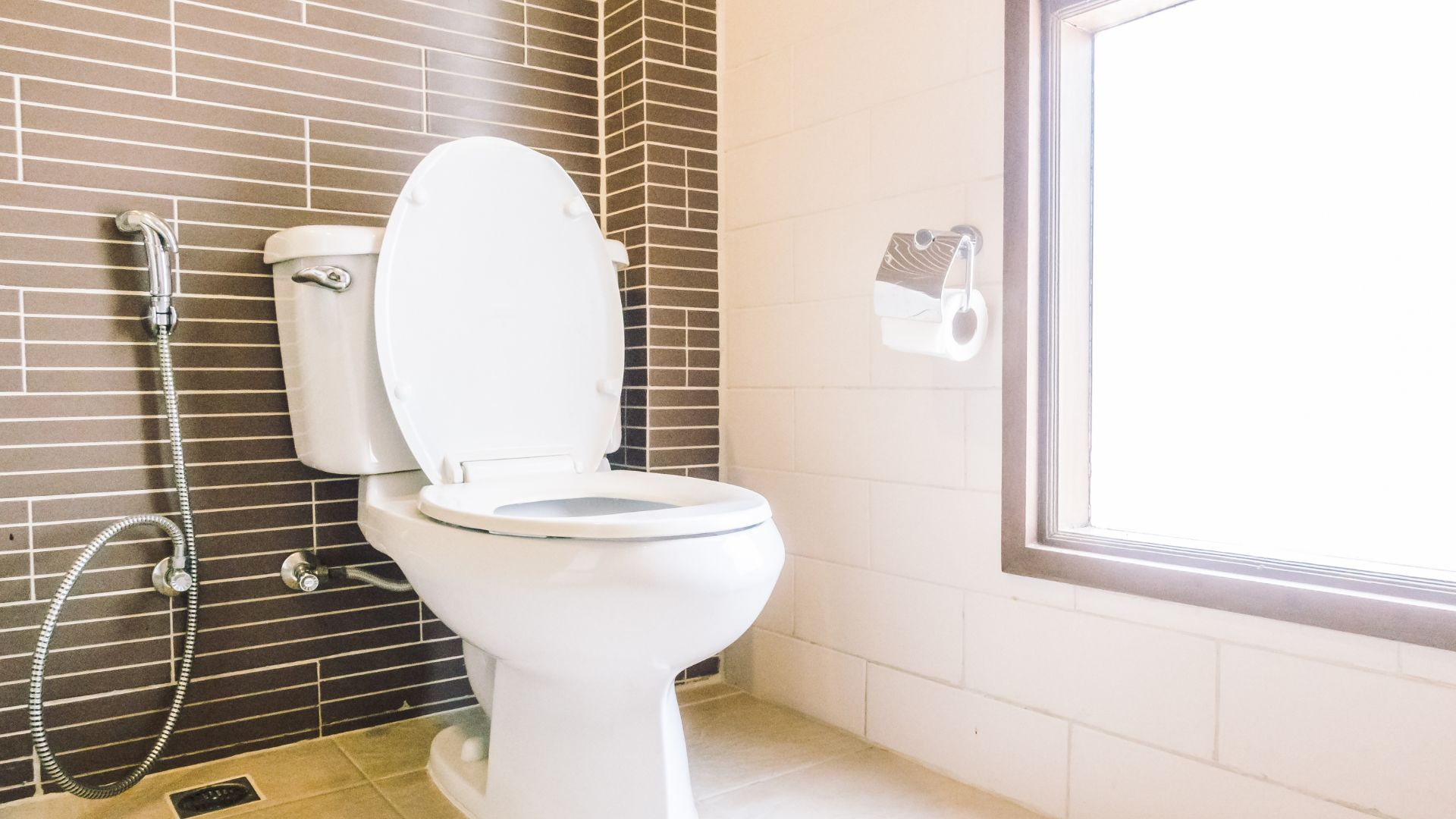 Local Plumbing Company Services toilet repair