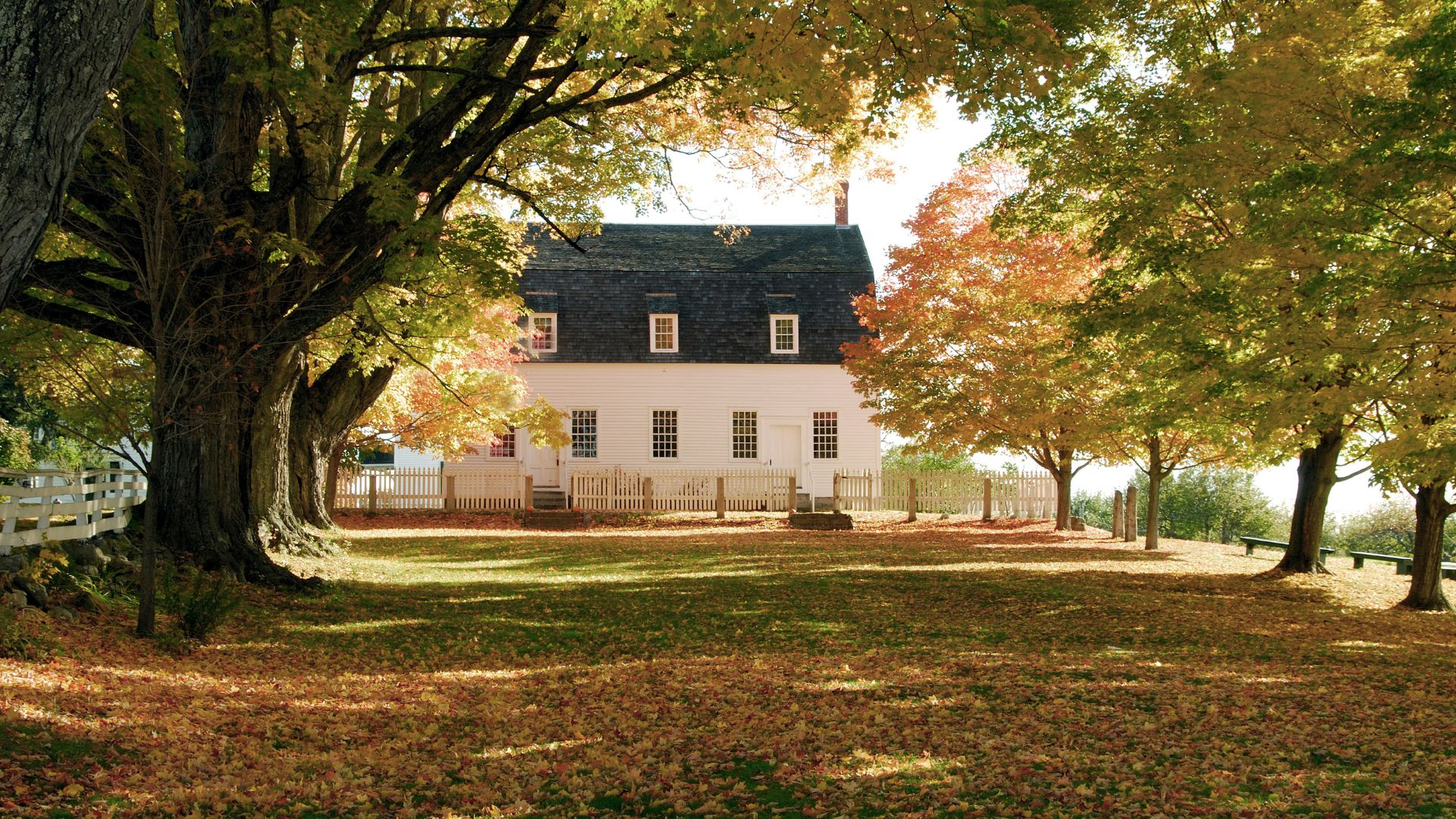 Well Pump Replacement house
